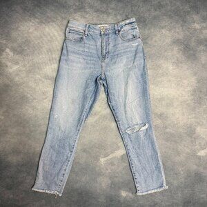 Abercrombie & Fitch Womens Curve Love High Rise Size 28/6s Blue Distressed